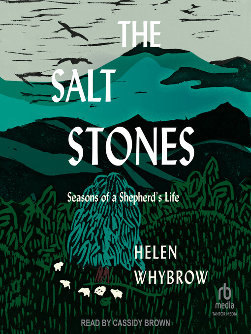 Title details for The Salt Stones by Helen Whybrow - Available